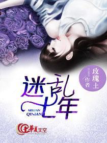 迷乱七年封面