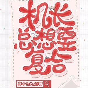 机长总想要覆合封面