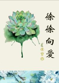 徐徐向爱封面