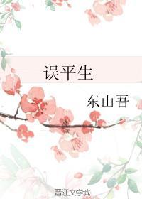 误平生封面