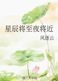 星辰将至夜将近封面