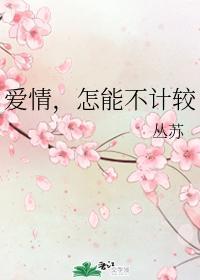 爱情，怎能不计较封面