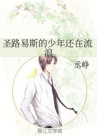 圣路易斯的少年还在流浪封面