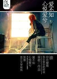 心悦爱兮爱不知封面