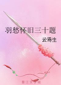 羽愁怀旧三十题封面