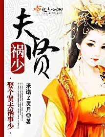夫贤祸少封面