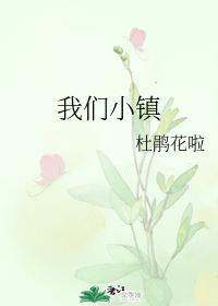 我们小镇封面