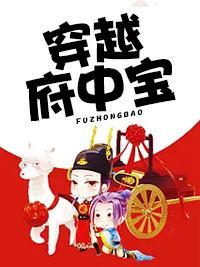 穿越府中宝封面