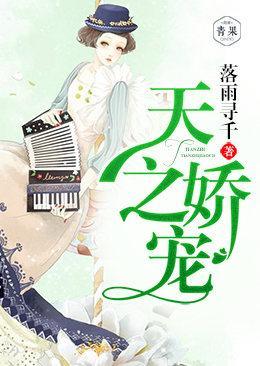 天之娇宠封面