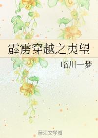 霹雳穿越之夷望封面