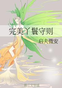 完美丫鬟守则封面