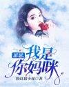 崽崽，我是你妈咪！封面