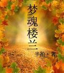 梦魂楼兰封面