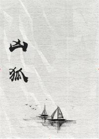 凶狐封面