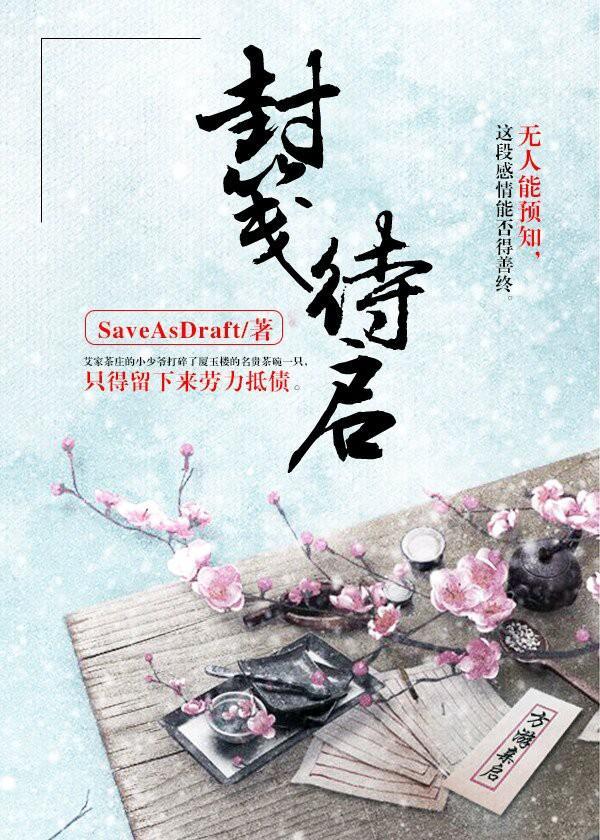 封笺待启封面