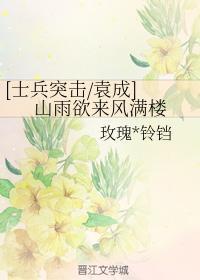 [士兵同人成袁] 山雨欲来风满楼封面