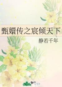 甄嬛传之宸倾天下封面