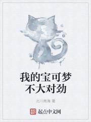 我的宝可梦不大对劲封面