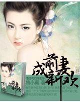 前妻成新欢封面