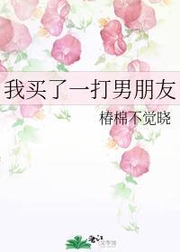 我买了一打男朋友封面