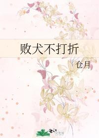 败犬不打折封面