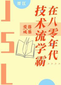 技术流学霸在八零年代封面