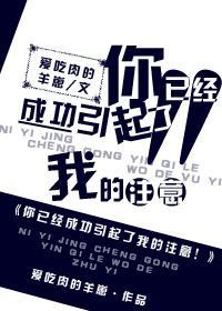 你已经成功引起了我的註意！封面