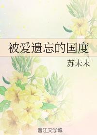被爱遗忘的国度封面