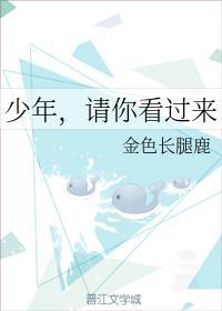 少年，请你看过来封面