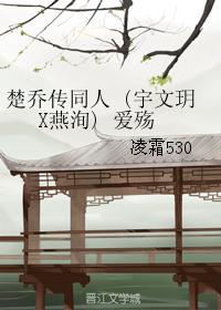 楚乔传同人 (宇文玥X燕洵) 爱殇封面