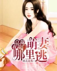 萌妻哪里逃封面