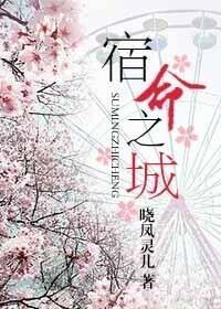 宿命之城封面