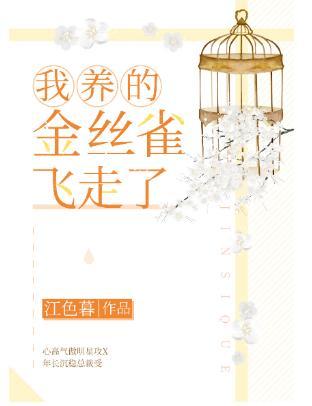 我养的金丝雀飞走了封面