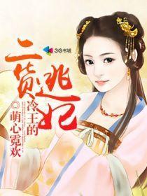冷王的二货逃妃封面