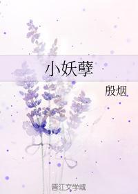 小妖孽封面