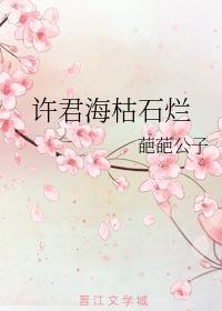 许君海枯石烂封面