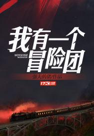 宋婉清陆铭封面