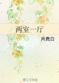 两室一厅封面