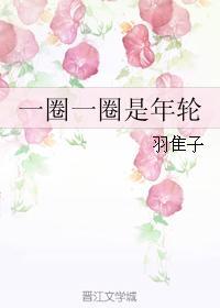一圈一圈是年轮封面