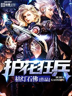 护花狂兵封面