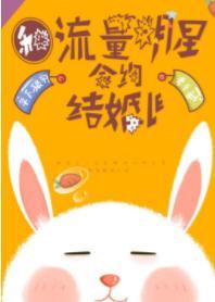 和流量明星合约结婚了封面