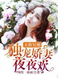 鬼夫大人生气了封面