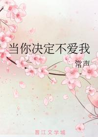 当你决定不爱我封面