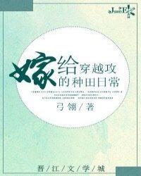 嫁给穿越攻的种田日常封面