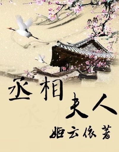 丞相夫人封面
