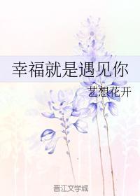 幸福就是遇见你封面