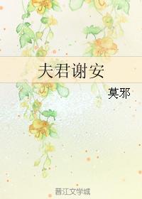 夫君谢安封面