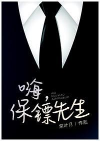嗨,保镖先生封面