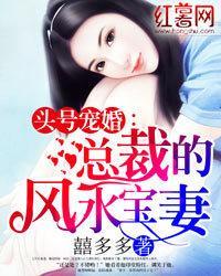 头号宠婚：总裁的风水宝妻封面