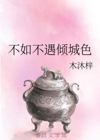 不如不遇倾城色封面